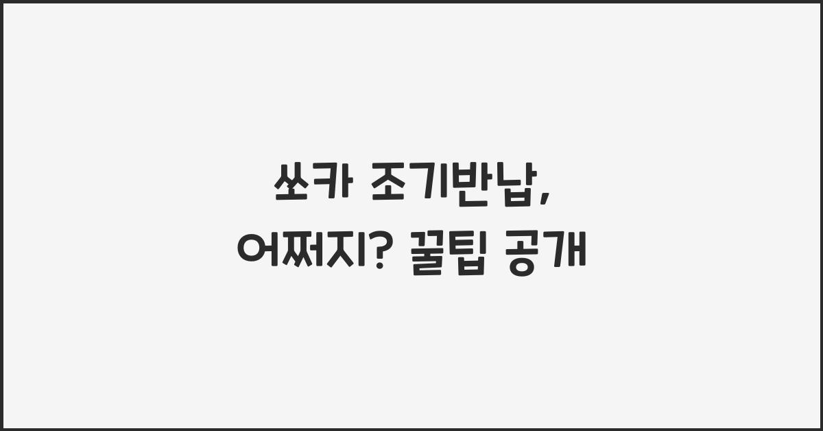 쏘카 조기반납