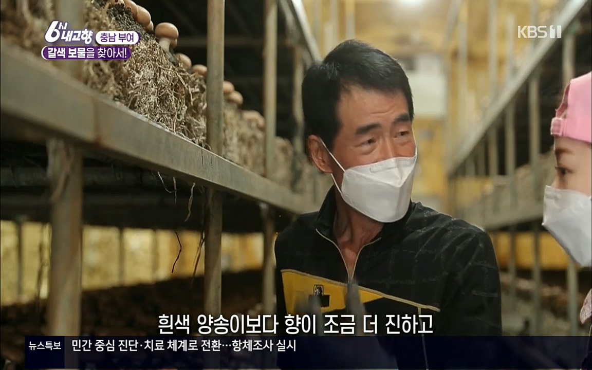 6시 내고향.E7512.220416p.H264-F1RST.mp4_20220502_185339.809.jpg