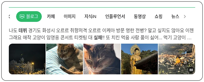 아기 고양이 데뷔 실패_1_subsection
