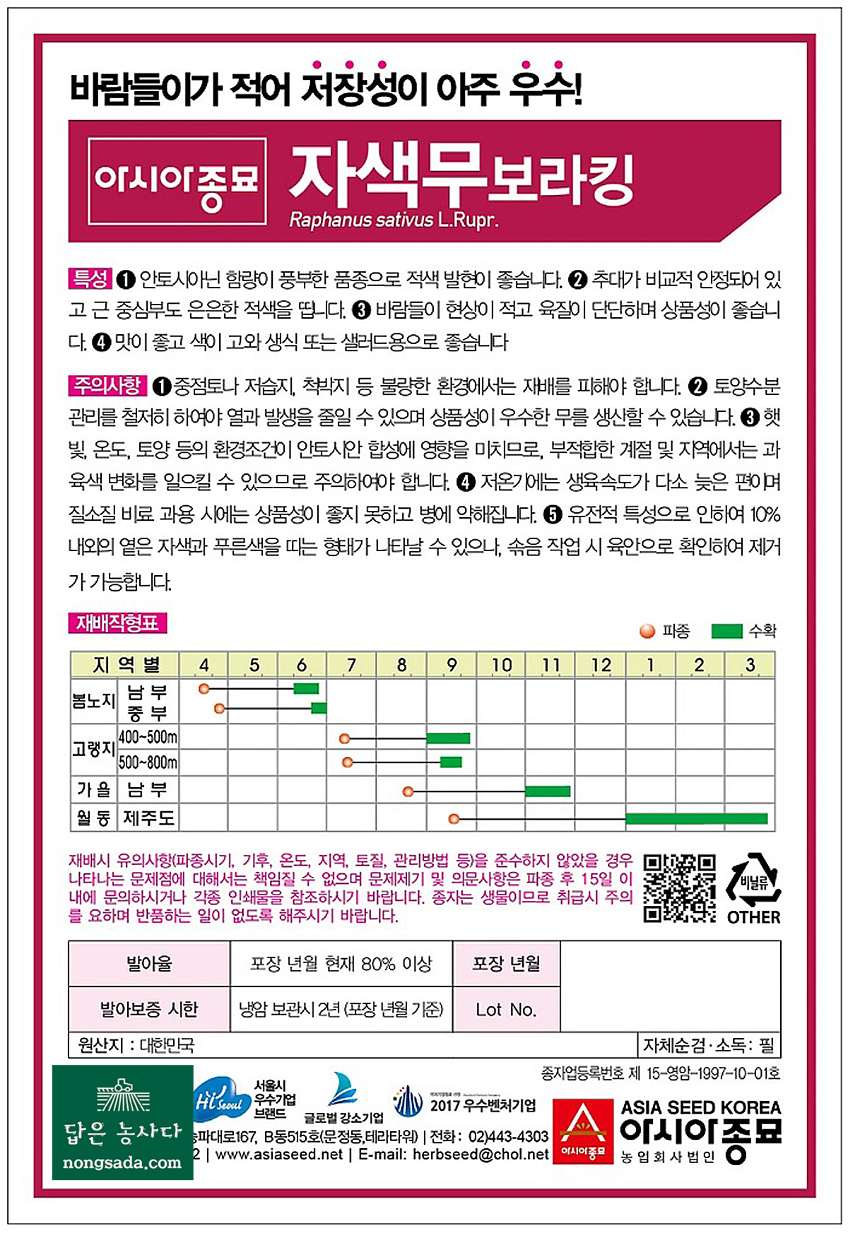 자색무 씨앗종자: 보라킹 맛과 건강을 함께!