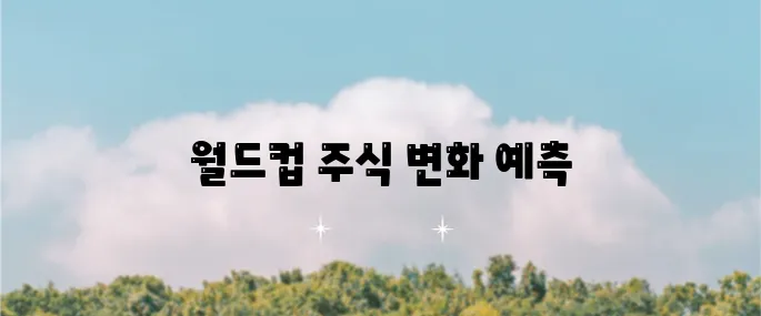 월드컵 관련 주식을 살펴봤습니다!