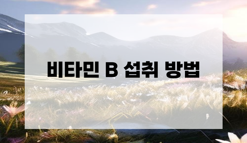 비타민 B 섭취 방법