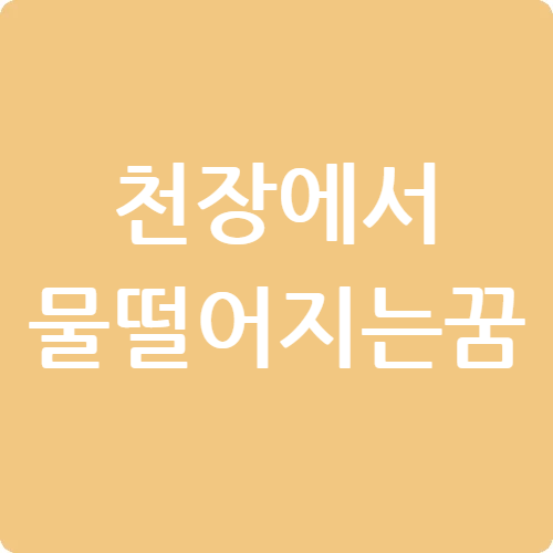 천장에서 물떨어지는 꿈