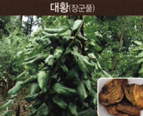 비주 이미지