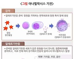 알레르기반응