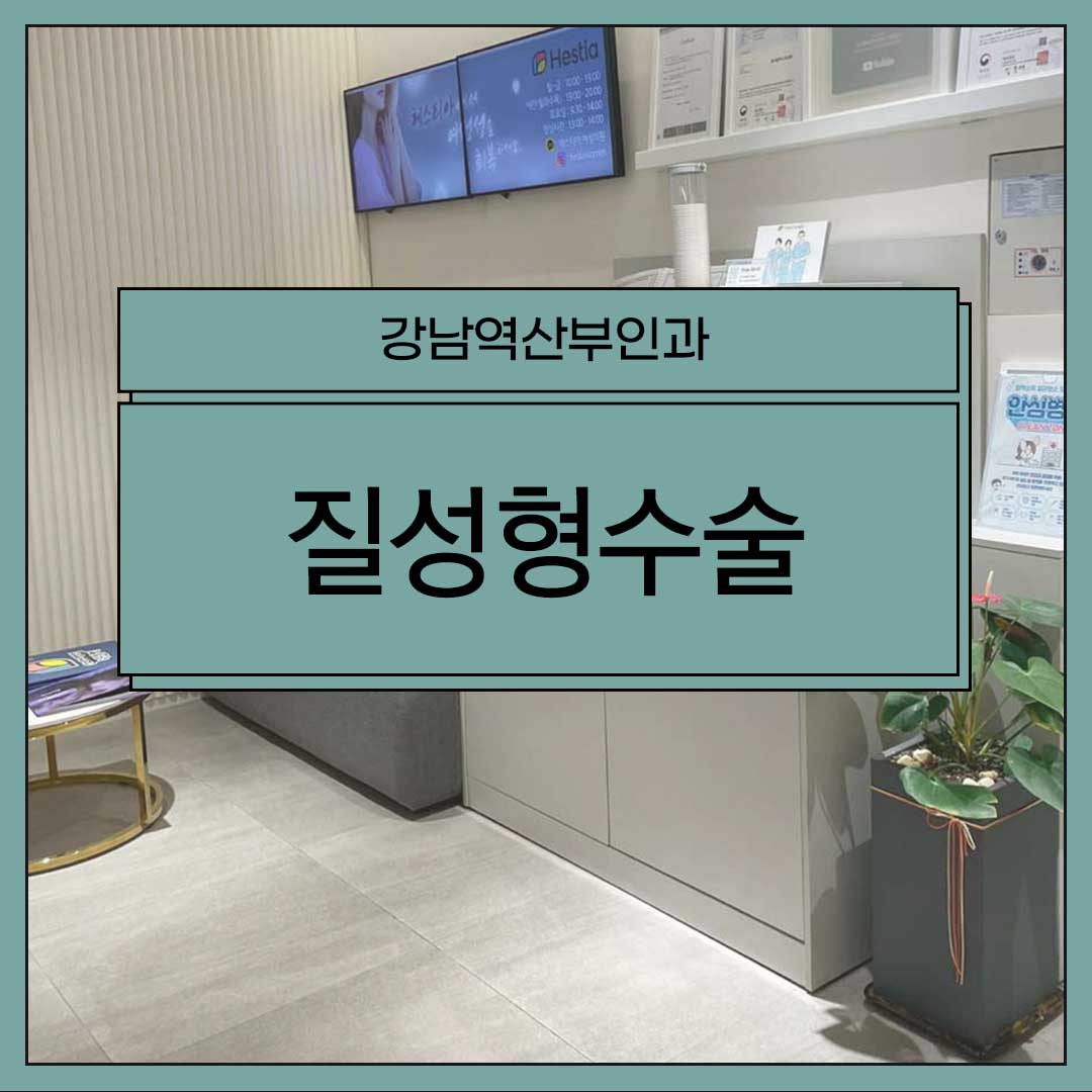 강남역산부인과
질성형수술