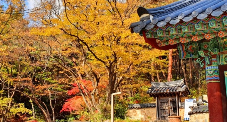 - 수덕사, 명상치유림길과 수암산의 가을 예산으로 볼거리, 단풍여행 41