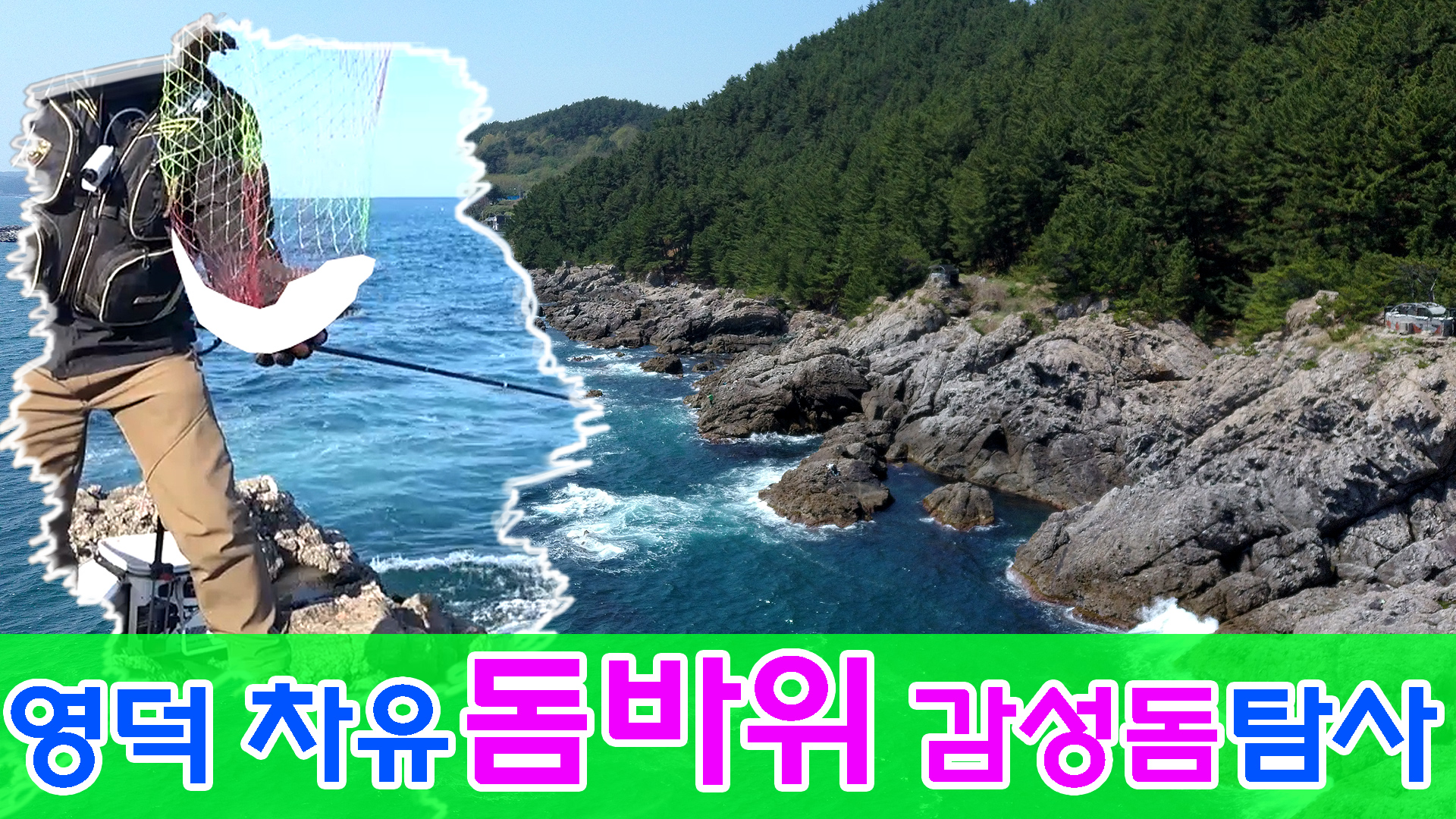 차유 이미지