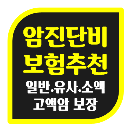  비갱신 암진단비보험 추천 일반암 유사암 소액암 고액암 암진단금보험 가격 비교