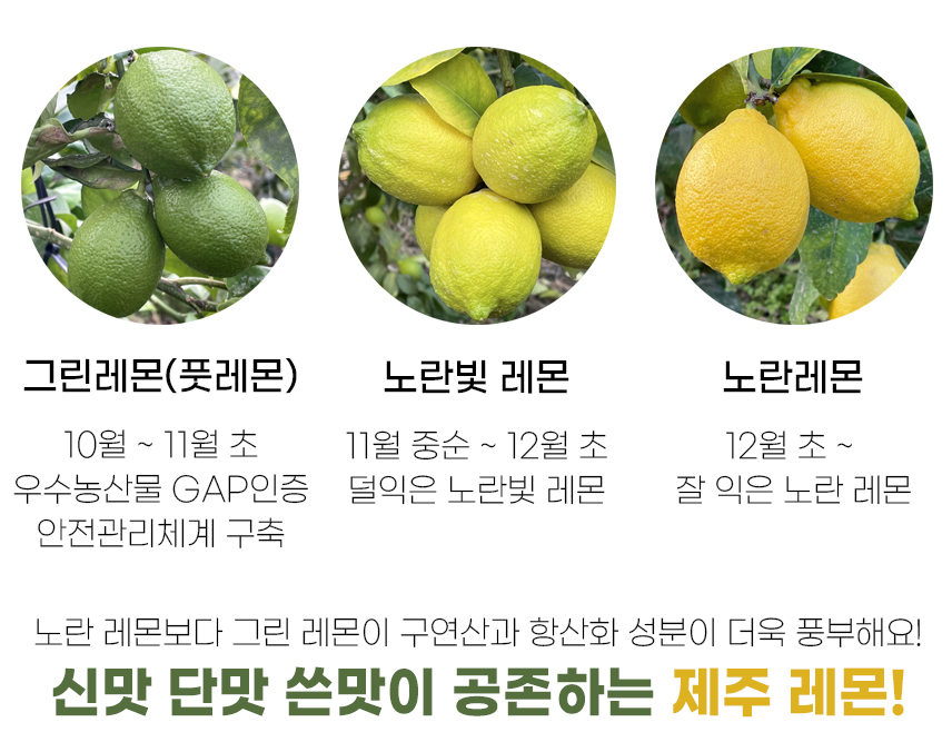 레몬농장 이미지