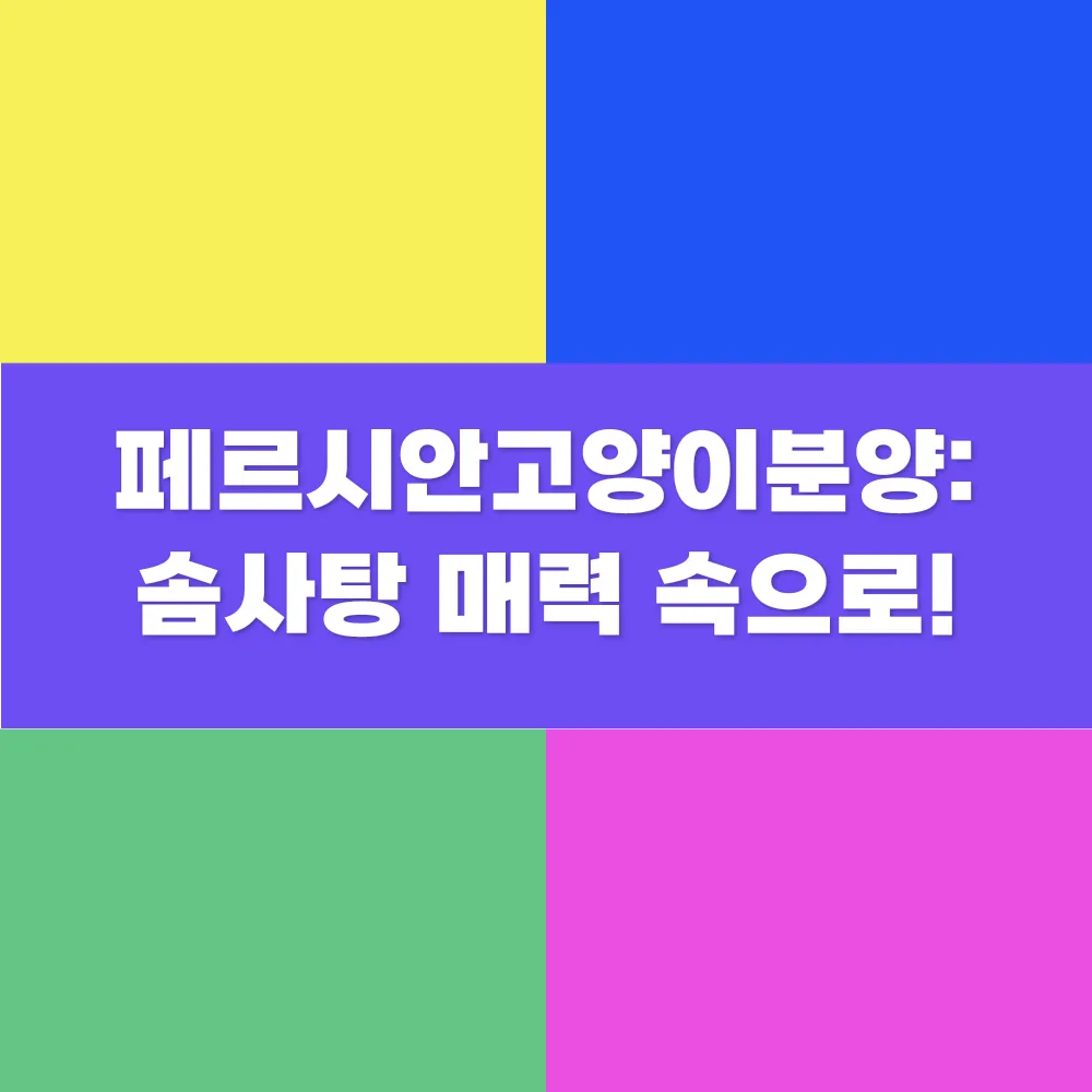 썸네일 이미지