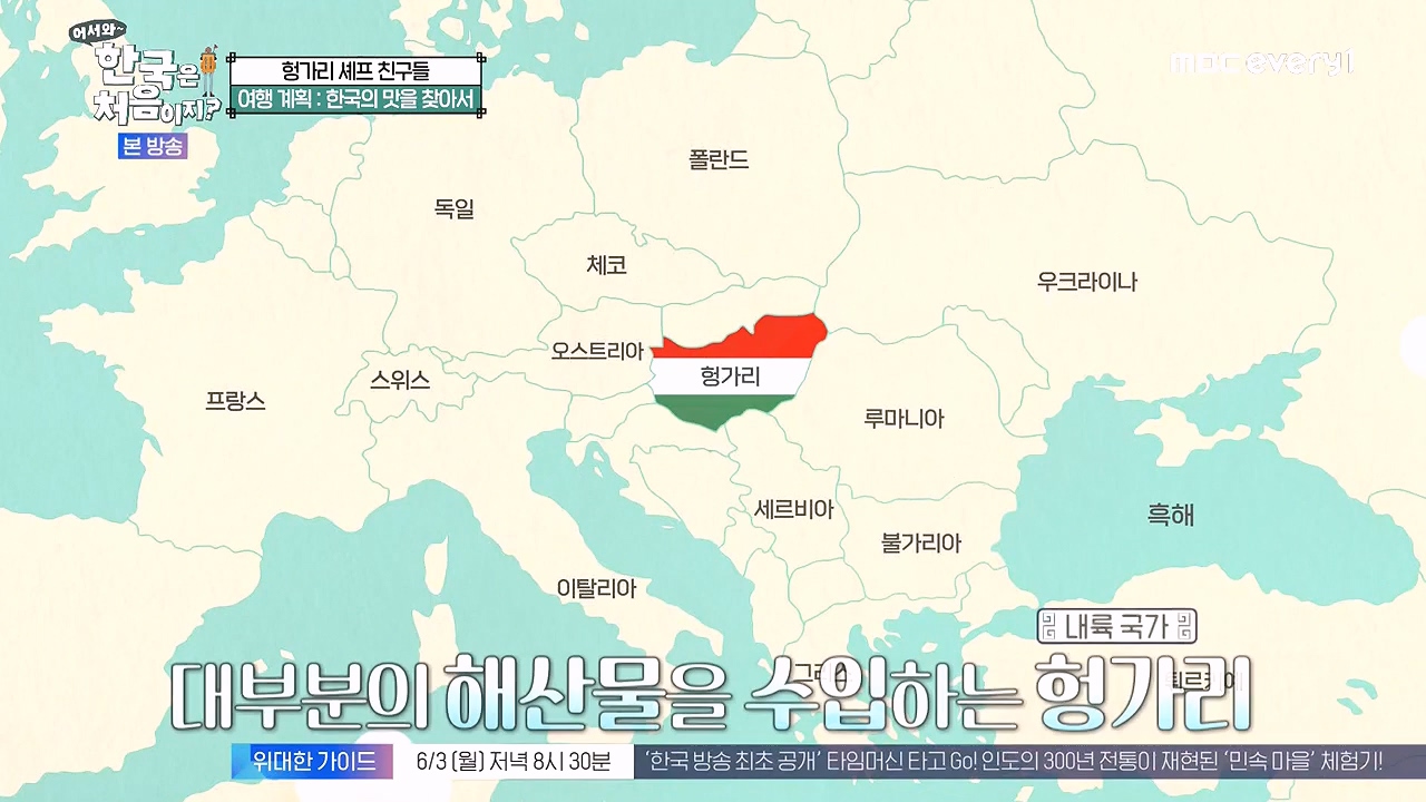 어서와 한국은 처음이지 시즌2.E316.240531p-NEXT.mp4_20240531_203909.006.jpg