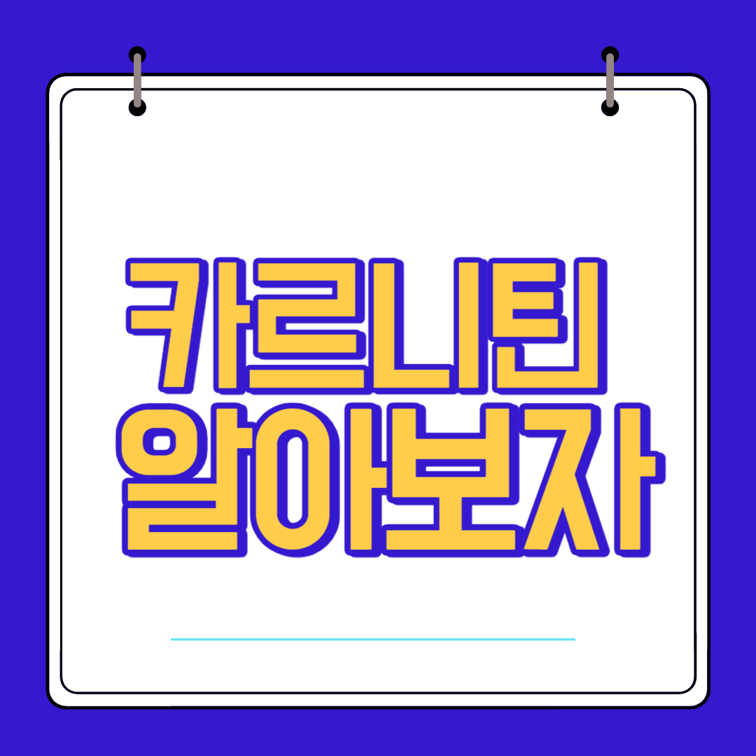  카르니틴 효능 부작용 알고 섭취 하자