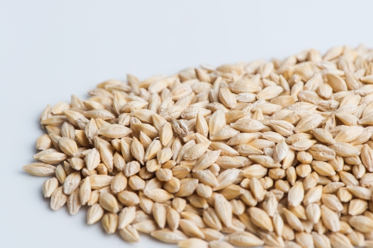 보리싹 싹의 7가지 효능과 부작용 17