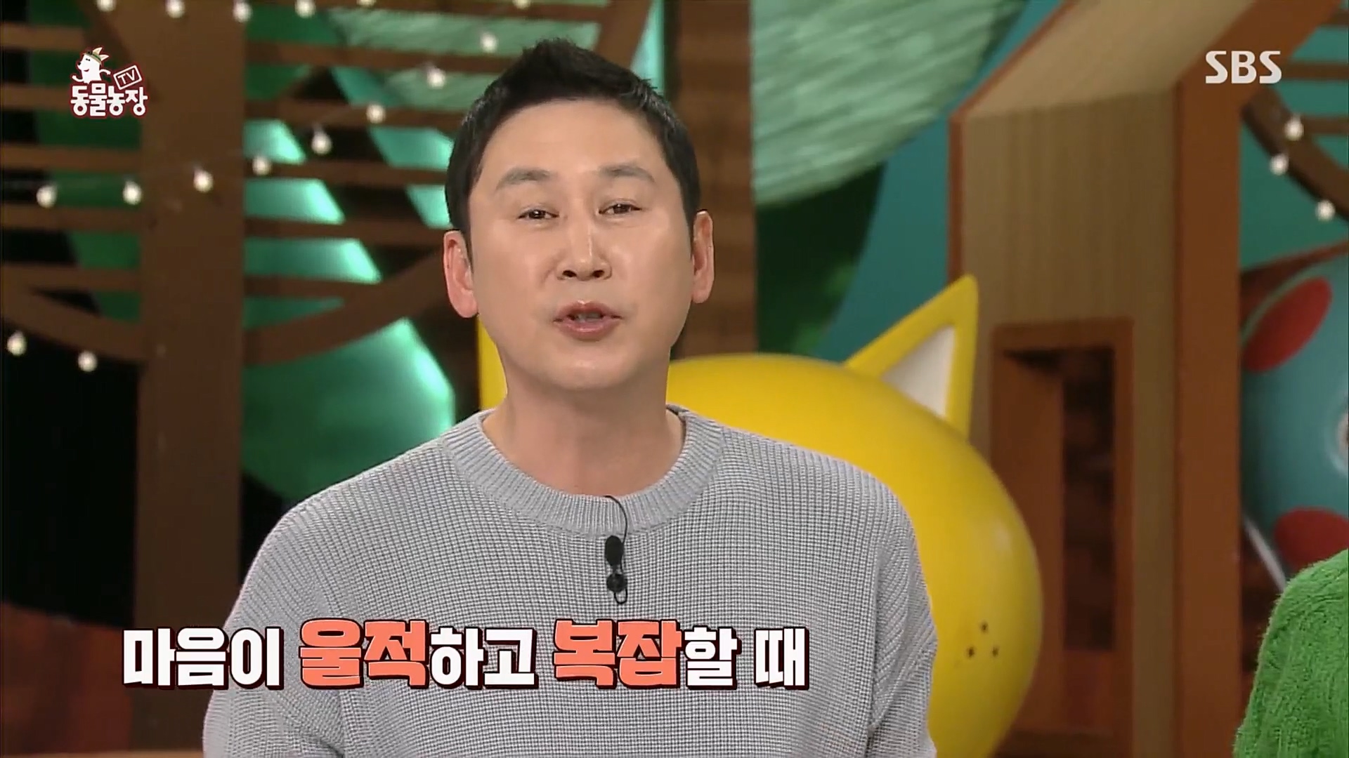 TV 동물농장.E1109.230219p.H264-F1RST.mp4_20230219_142814.825.jpg
