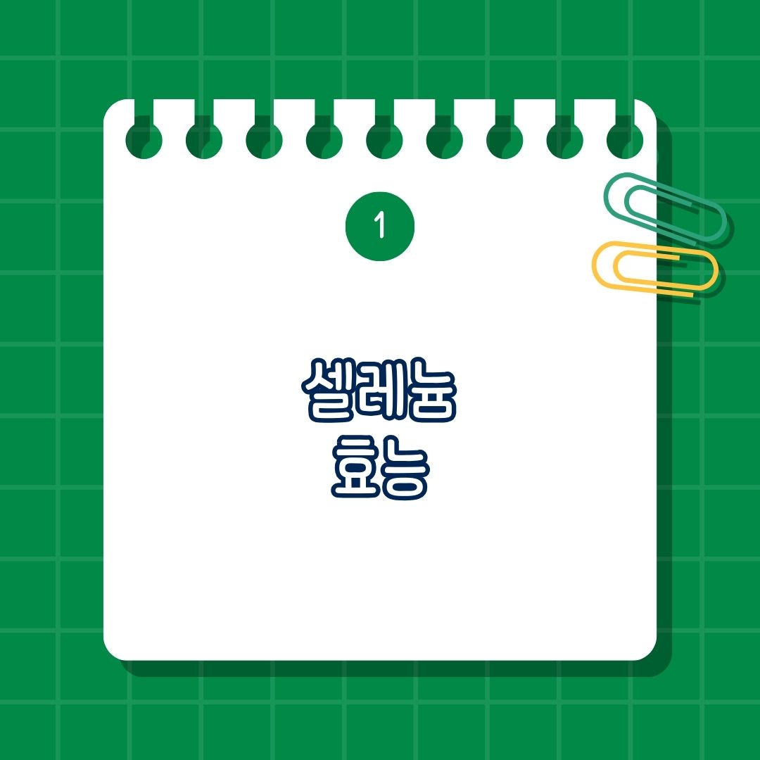 셀레늄 효능