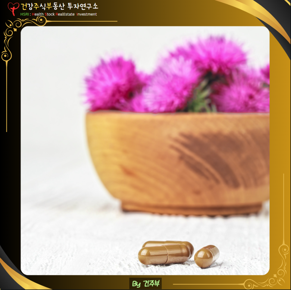밀크씨슬 효능과 섭취법

(글 그림 : 건주부, 그림 출처 : Canva)
