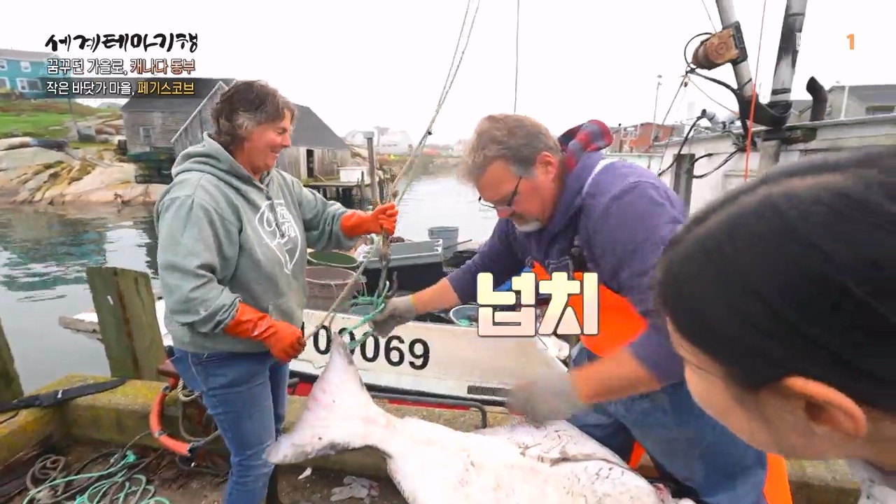 세상의모든기행꿈꾸던 가을로 캐나다 동부-우아, 가을의 맛.mp4_20231205_201140.342.jpg