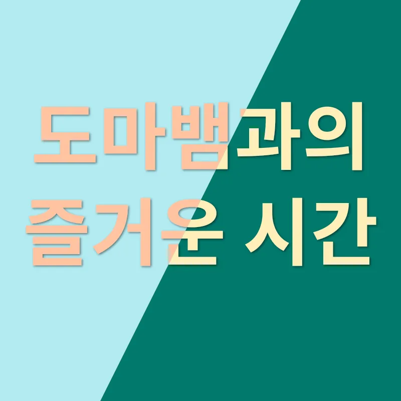 도마뱀 키우기_3