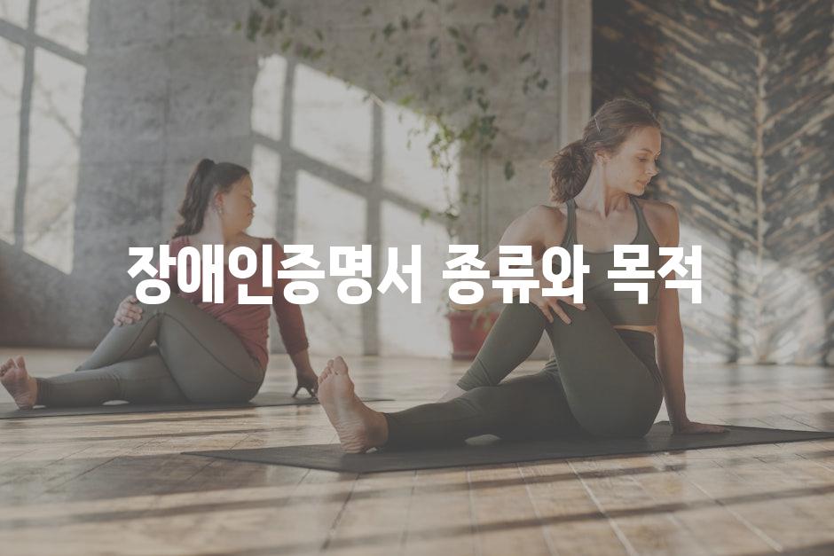 장애인증명서 종류와 목적