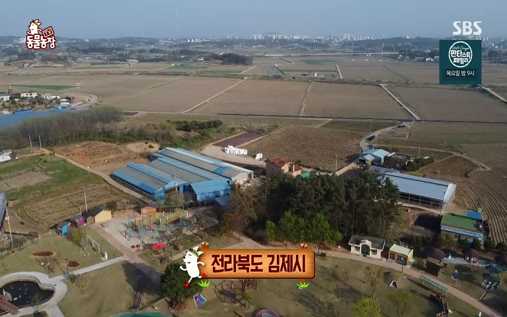 TV 동물농장.E1069.220515p.H264-F1RST.mp4_20220515_175852.634.jpg