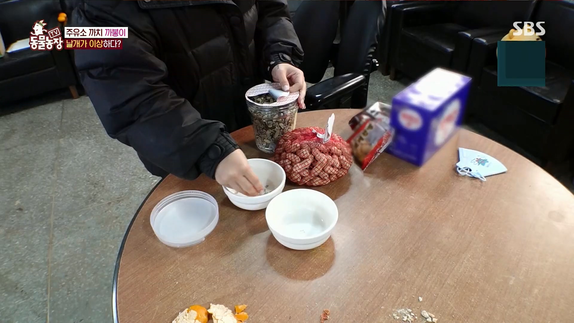 TV 동물농장.E1102.230101p.H264-F1RST.mp4_20230101_182839.322.jpg