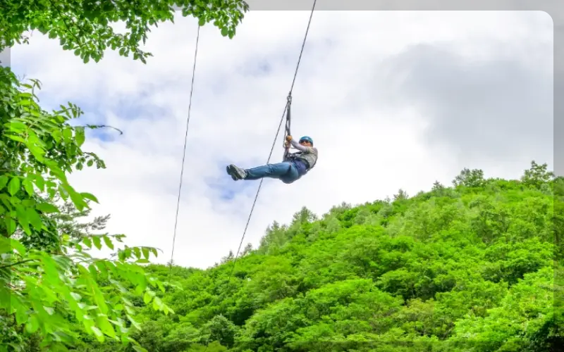 용인자연휴양림 짚라인