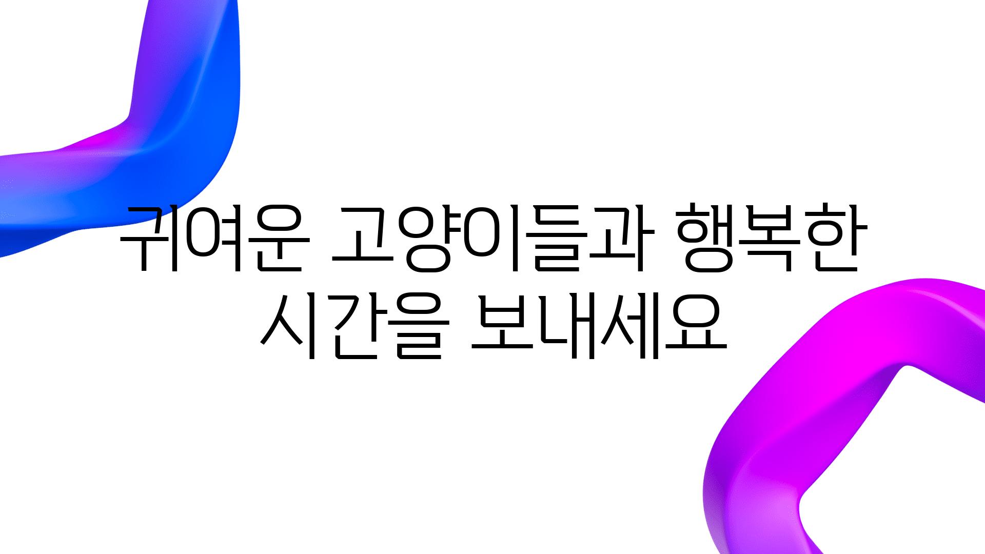 귀여운 고양이들과 행복한 시간을 보내세요