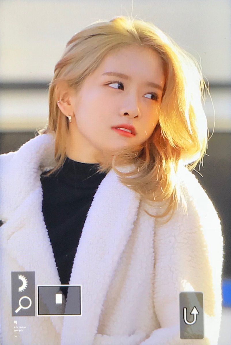 우주소녀 엑시 인스타그램 사진 몸매 얼굴 화보 움짤 트위터 고화질