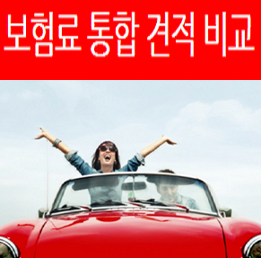  자동차보험메리츠 다음자동차보험 6개월자동차보험 간편체크