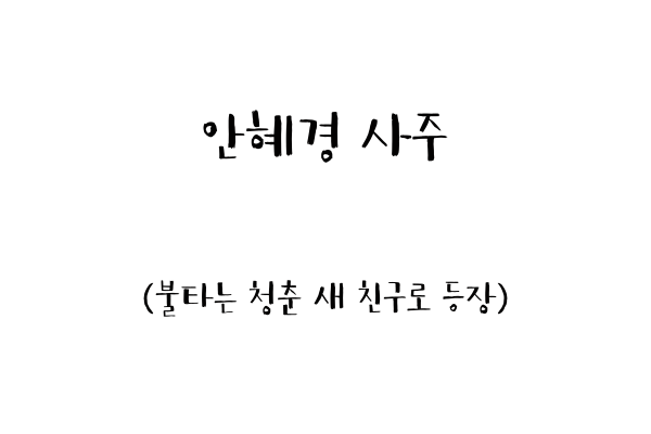  안혜경 사주풀이 (불타는 청춘 새 친구로 등장)