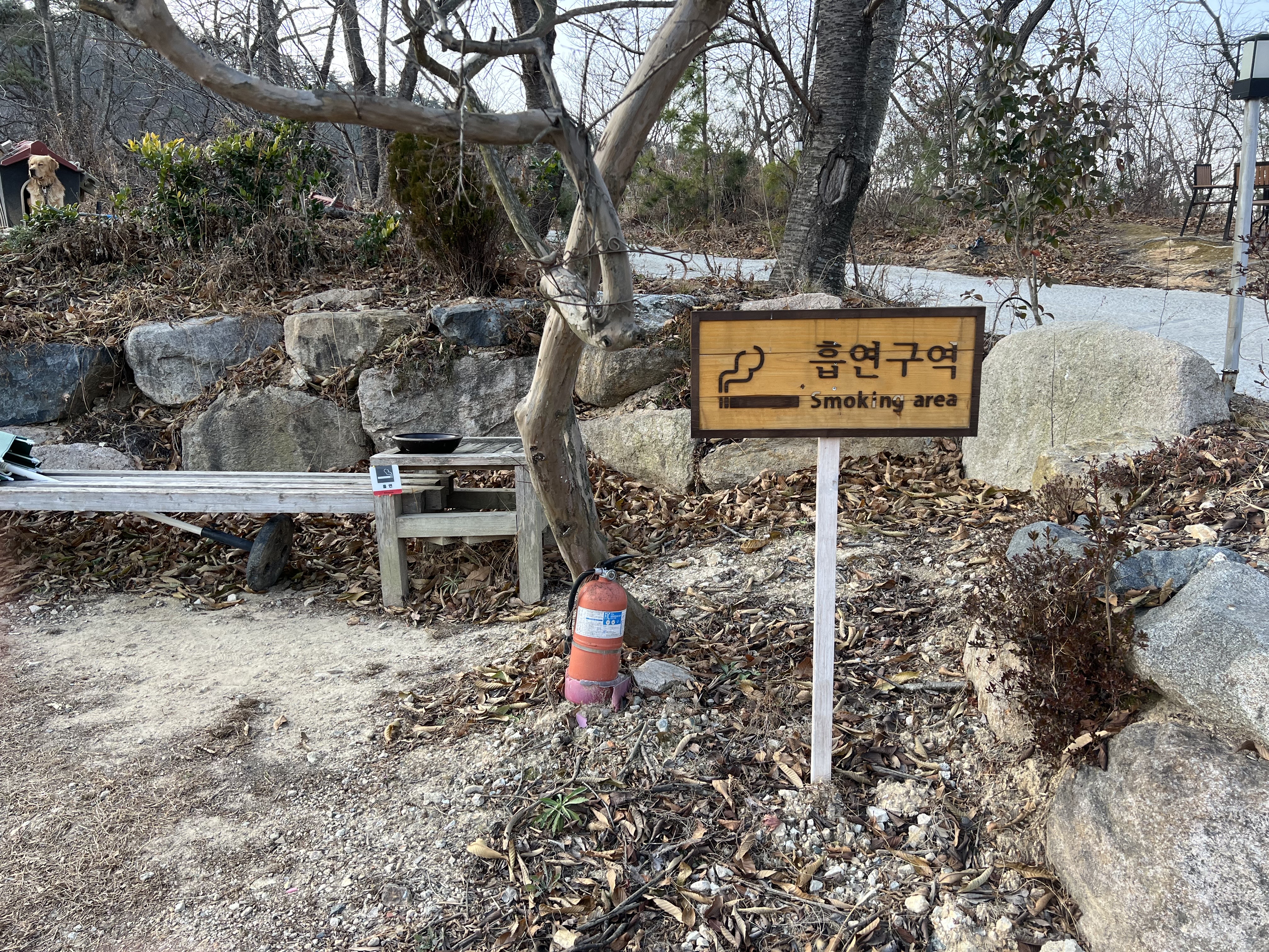 브라운피크닉 흡연구역