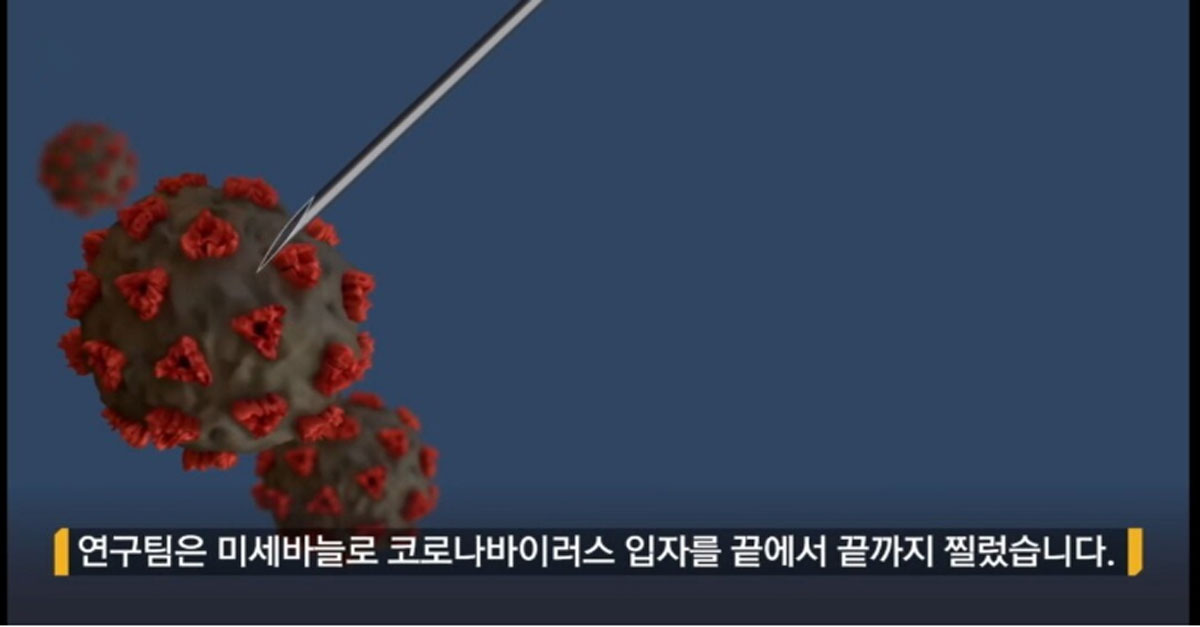  '코로나 바이러스' 바늘로 100번 찌르자 나타난 현상