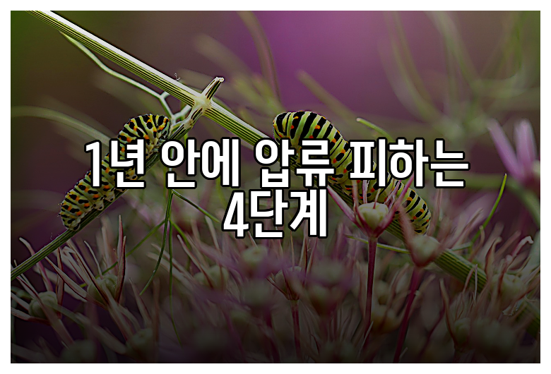 1년 안에 압류 피하는 4단계