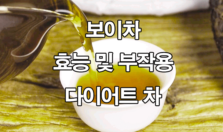  보이차 효능 및 부작용 : 위장 건강, 다이어트 차