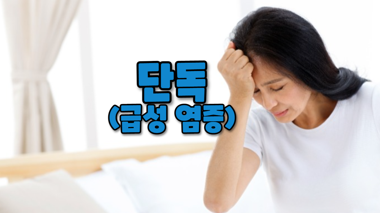  단독(급성 염증)
