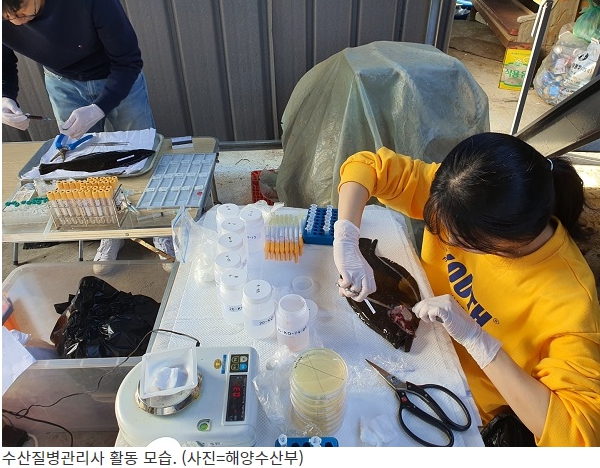 20회수산 이미지