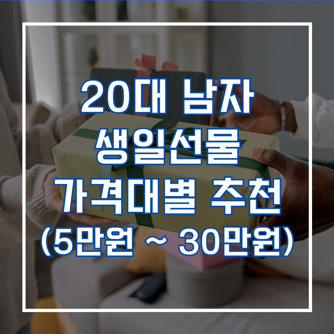 20대 남자 생일선물 가격대별 추천 (5만원 ~ 30만원)