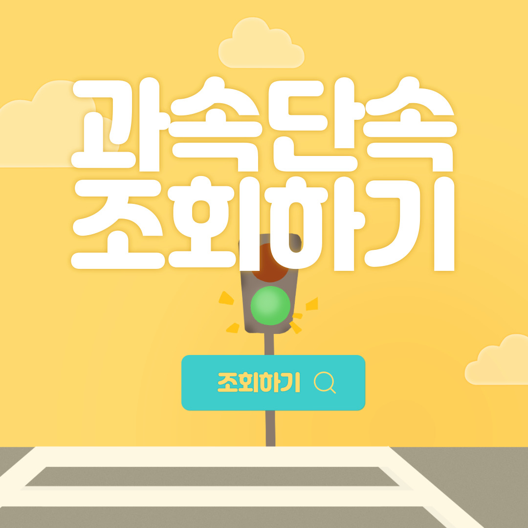  과속 단속 실시간 조회 및 과태료 (개정판)