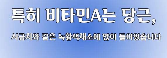  특히 비타민A는 당근, 시금치와 같은 녹황색채소에 많이 들어있습니다