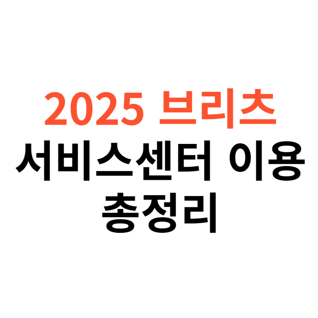 브리츠 오디오