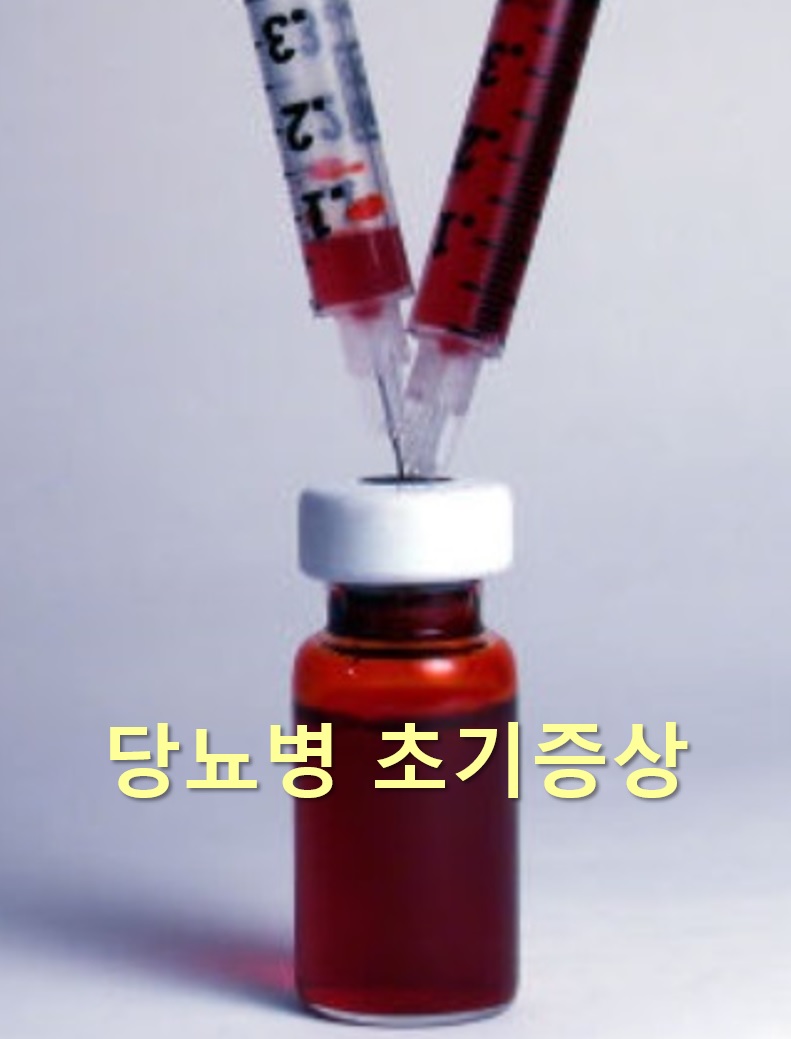  당뇨병 초기증상과 당뇨에 좋은 음식