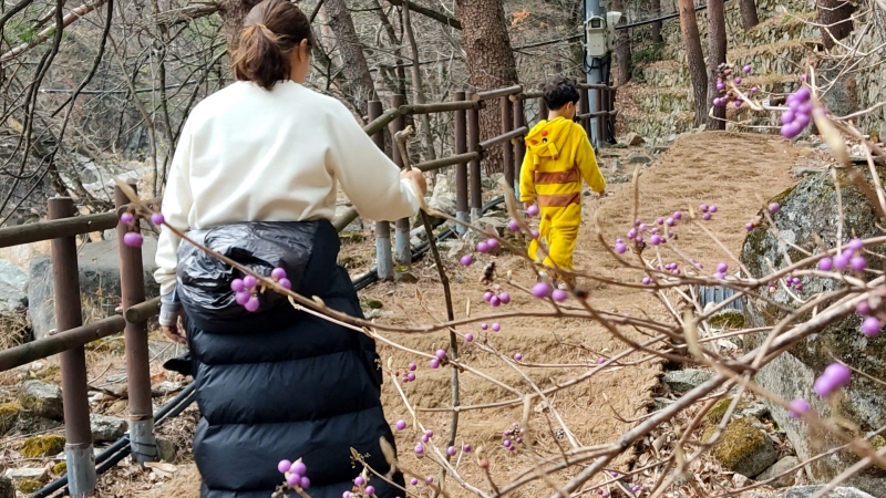 오대산국립공원 소금강산