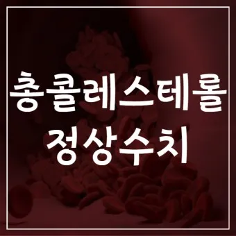 총콜레스테롤 이란 정상수치 낮추는법_22