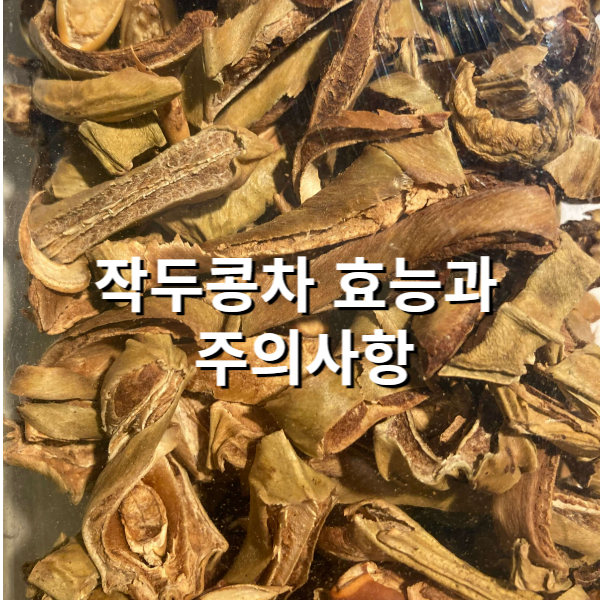 작두콩 차 효능과 독성 복용 방법