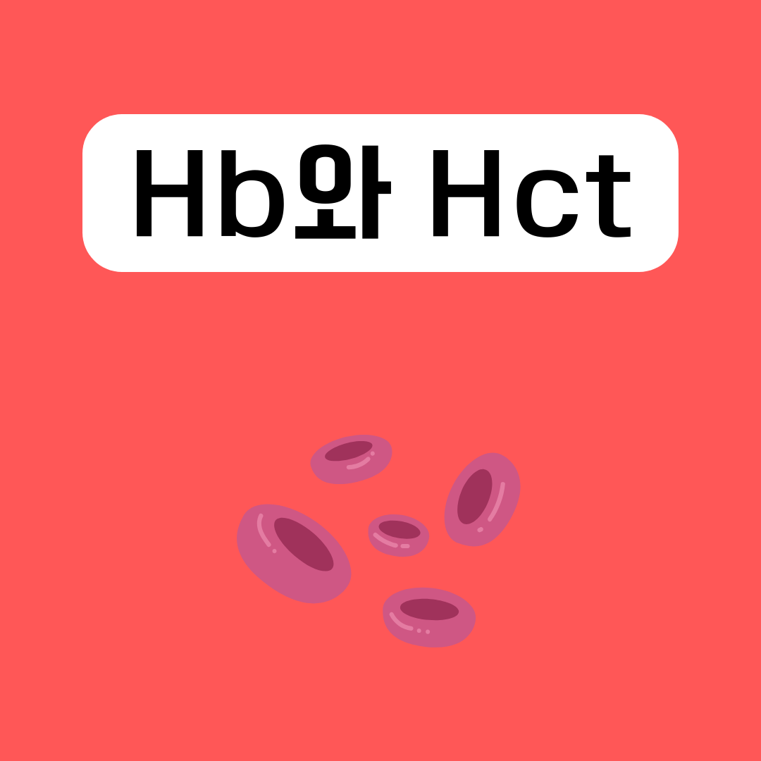 헤모글로빈과-헤마토크리트