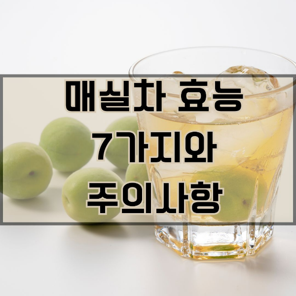 매실차 효능과 주의사항