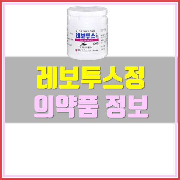  레보투스정 효능 부작용