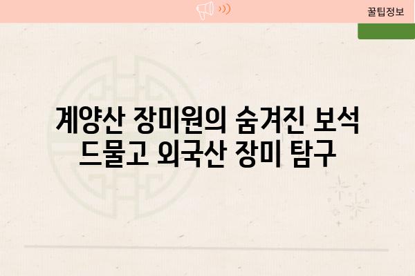 계양산 장미원의 숨겨진 보석 드물고 외국산 장미 비교