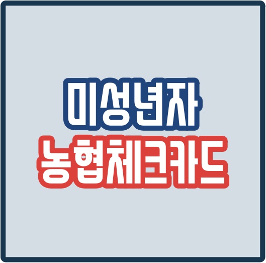  농협 체크카드 미성년자 발급기준